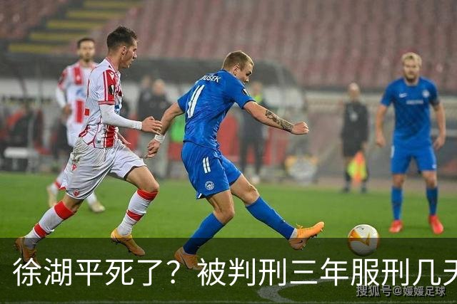 徐湖平死了？被判刑三年服刑几天？南京博物馆藏画被售卖一事是否就此一死了之？