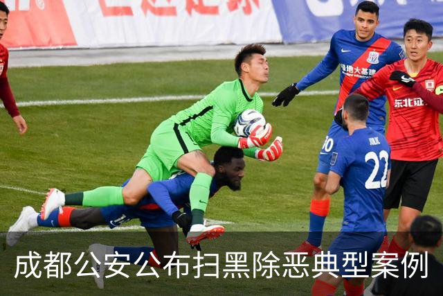 成都公安公布扫黑除恶典型案例
